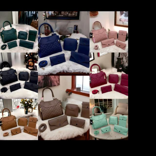 5 in 1 handbagS